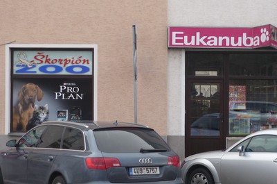 Vstupní dveře