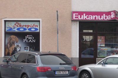 Vstupní dveře