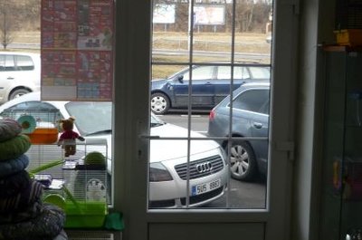 Vstupní dveře